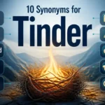Educational infographic showing synonyms for tinder including kindling firestarter touchwood fuel catalyst and related alternatives.