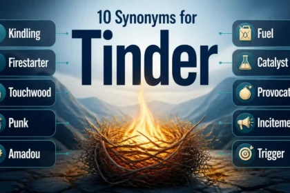 Educational infographic showing synonyms for tinder including kindling firestarter touchwood fuel catalyst and related alternatives.