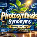 Photosynthesis Synonyms: Exact Alternatives, Related Terms, Meanings and Examples