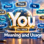 You Synonyms: Alternatives, Meanings and Examples